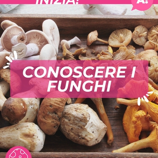 Corso Conoscere i Funghi