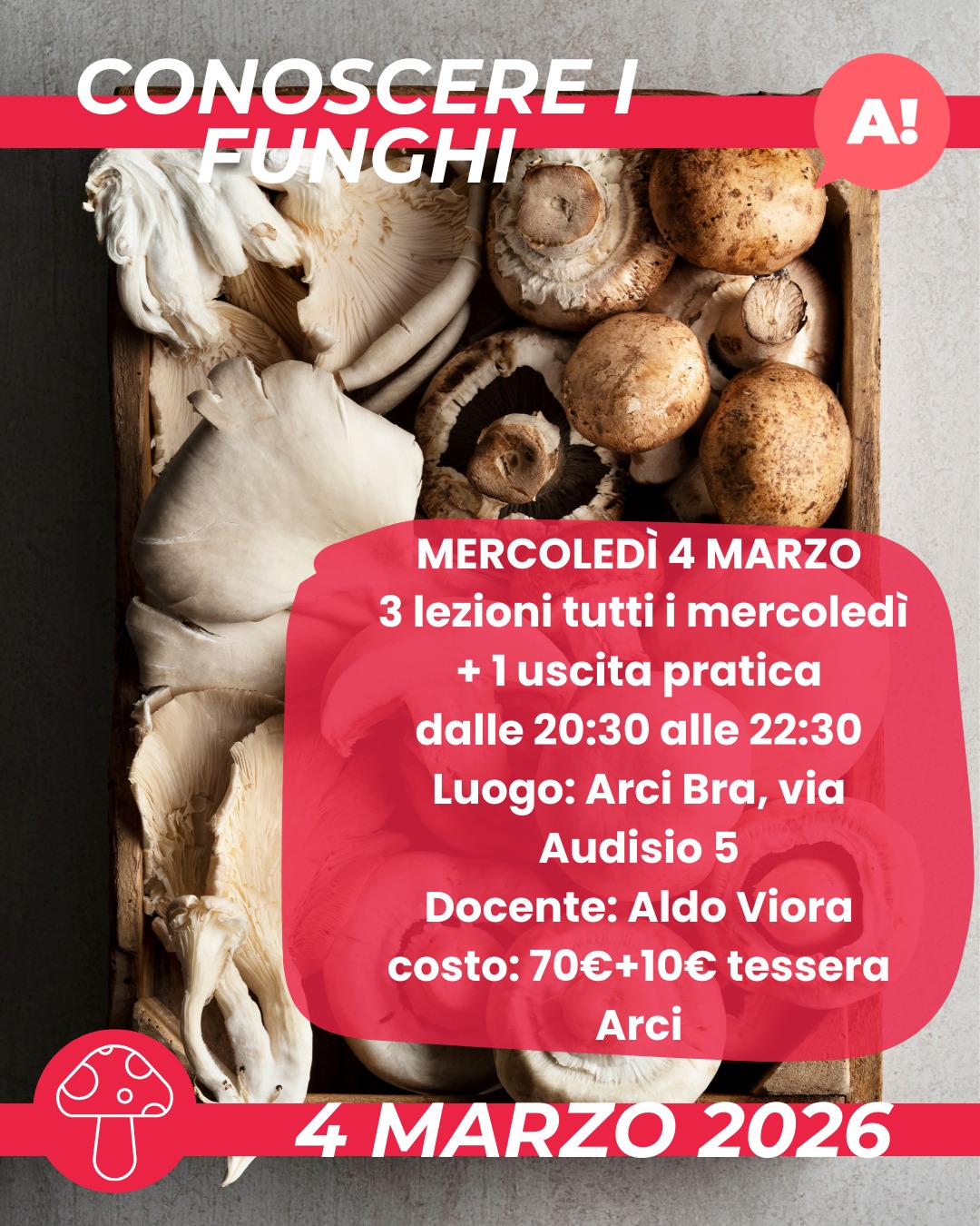 Corso Conoscere i Funghi