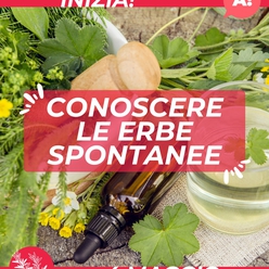 Corso "CONOSCERE LE ERBE SPONTANEE"