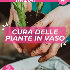 Corso Cura delle Piante in Vaso