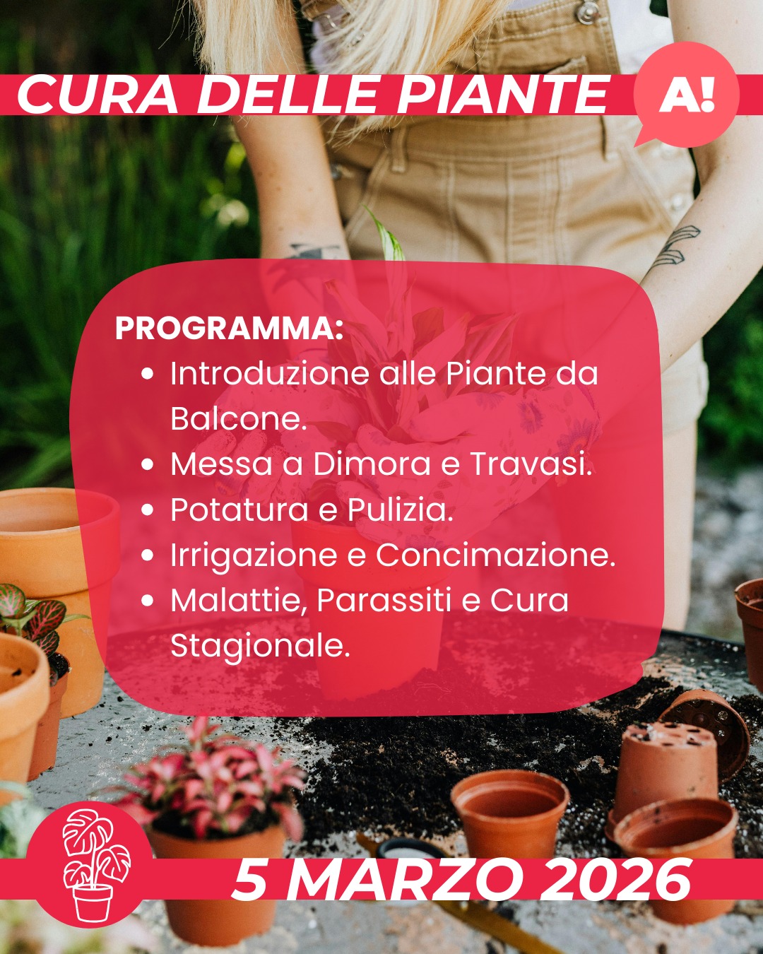 Corso Cura delle Piante in Vaso