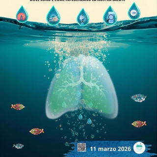L'INVASIONE SILENZIOSA - Viaggio nel mondo delle Microplastiche