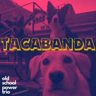 Tacabanda in concerto: rock, blues, folk!