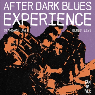 AFTER DARK BLUES EXPERIENCE / STANDARD JAZZ E BLUES LIVE