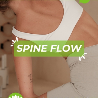 Corso di Spine Flow