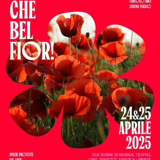 Festival della Liberazione | Le notti della Liberazione 