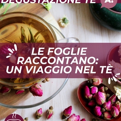 Corso degustazione di tè