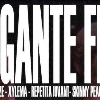 Brigante Fest 2025