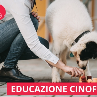 Corso di Educazione Cinofila
