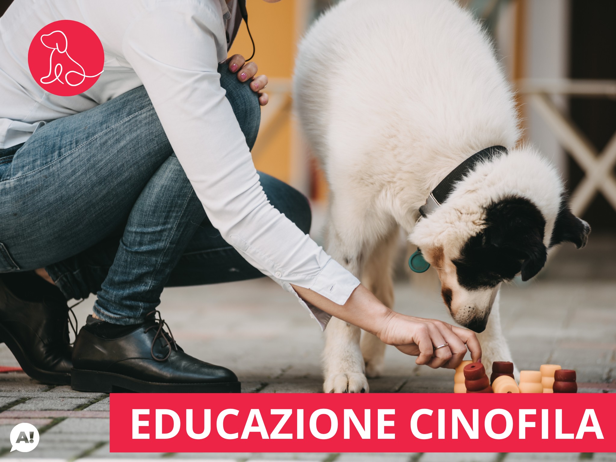 Corso di Educazione Cinofila