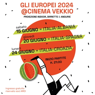 EUROPEI DI CALCIO 2024 