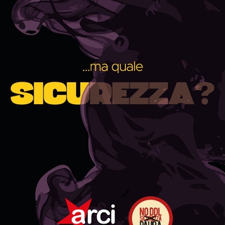 No al DL Sicurezza